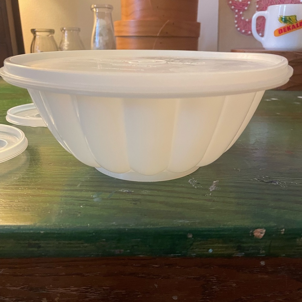 Tupperware jello mold white with 4 designs and lid